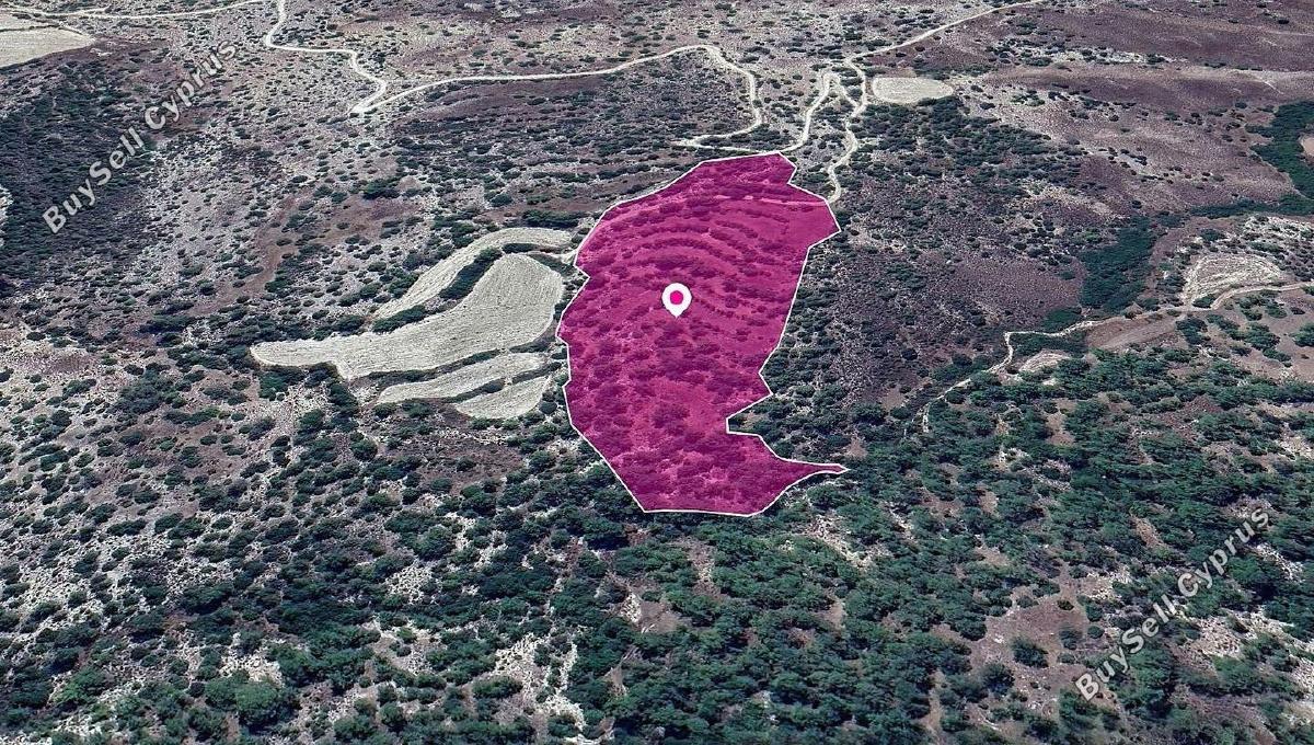 land for sale amargeti paphos 8237609 image 14231295