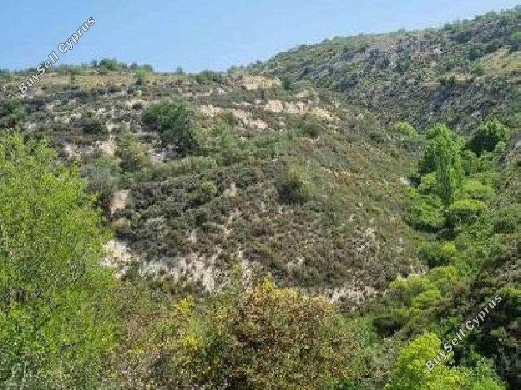 land for sale arsos lemesou limassol 8592609 image 15706880