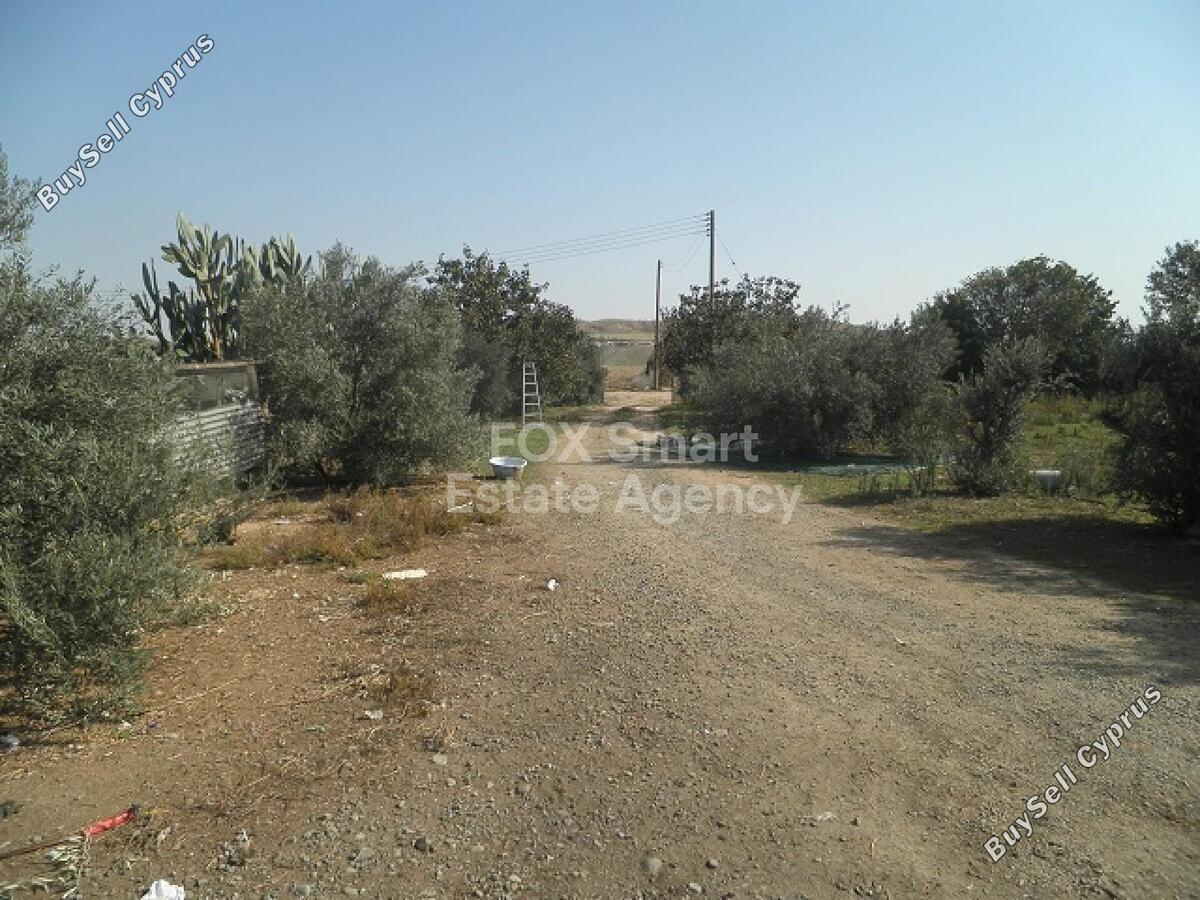 2 bedroom bungalow for sale palaiometocho nicosia 1151709 image 3160543
