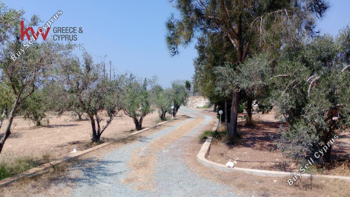 4 bedroom detached house for rent agios theodoros larnacas larnaca 1482709 image 16144398