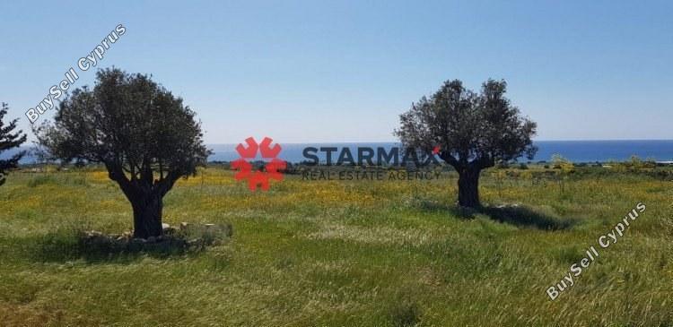 land for sale agios theodoros larnacas larnaca 1306709 image 6314775