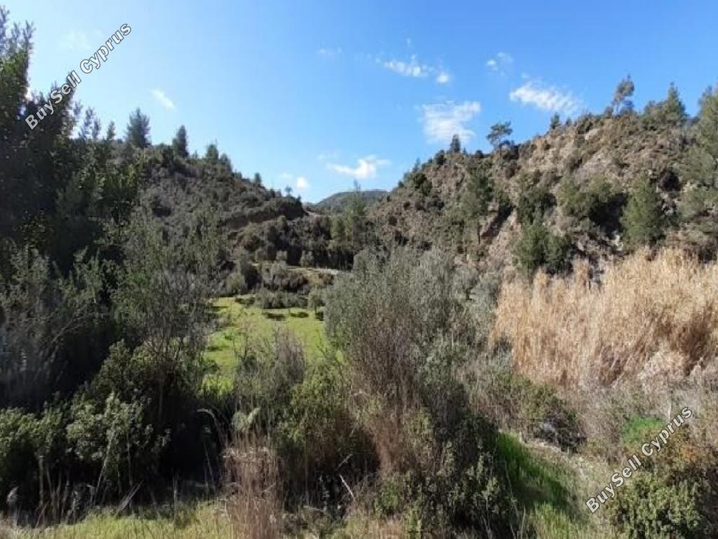 land for sale kato lefkara larnaca 8145709 image 13422350