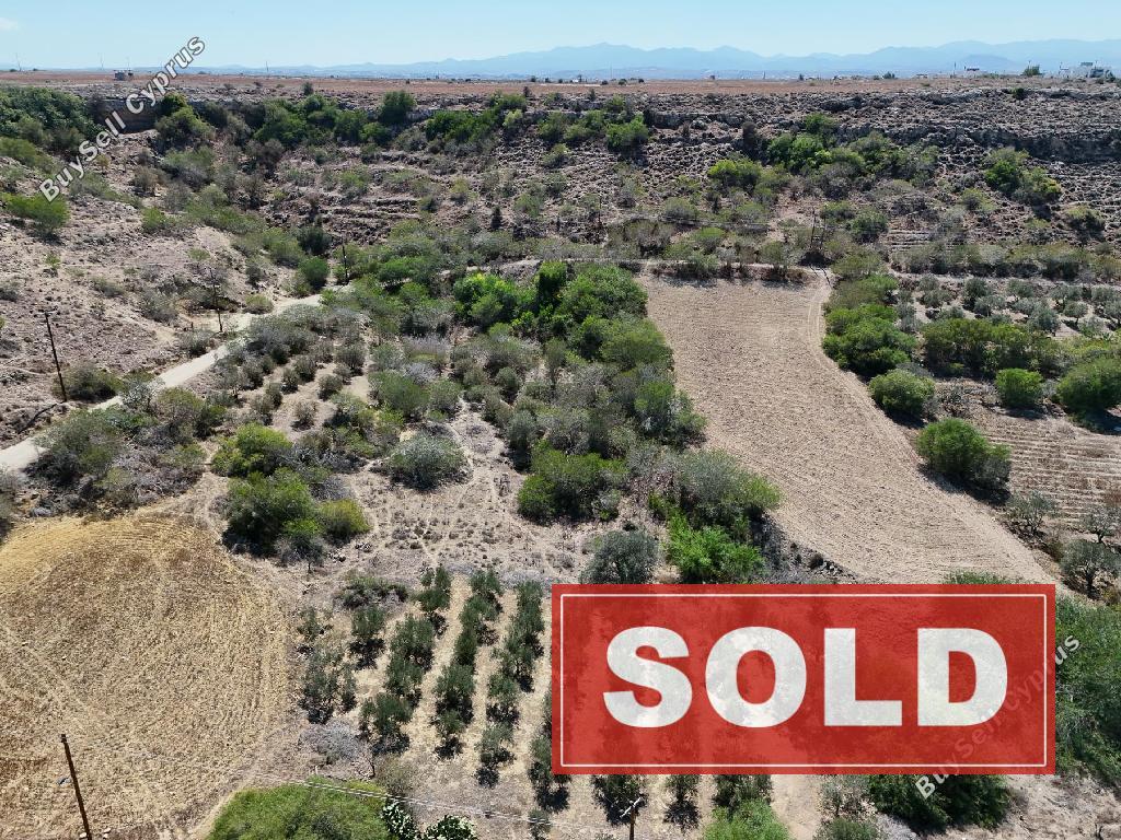 land sold mammari nicosia 8406709 image 14885361