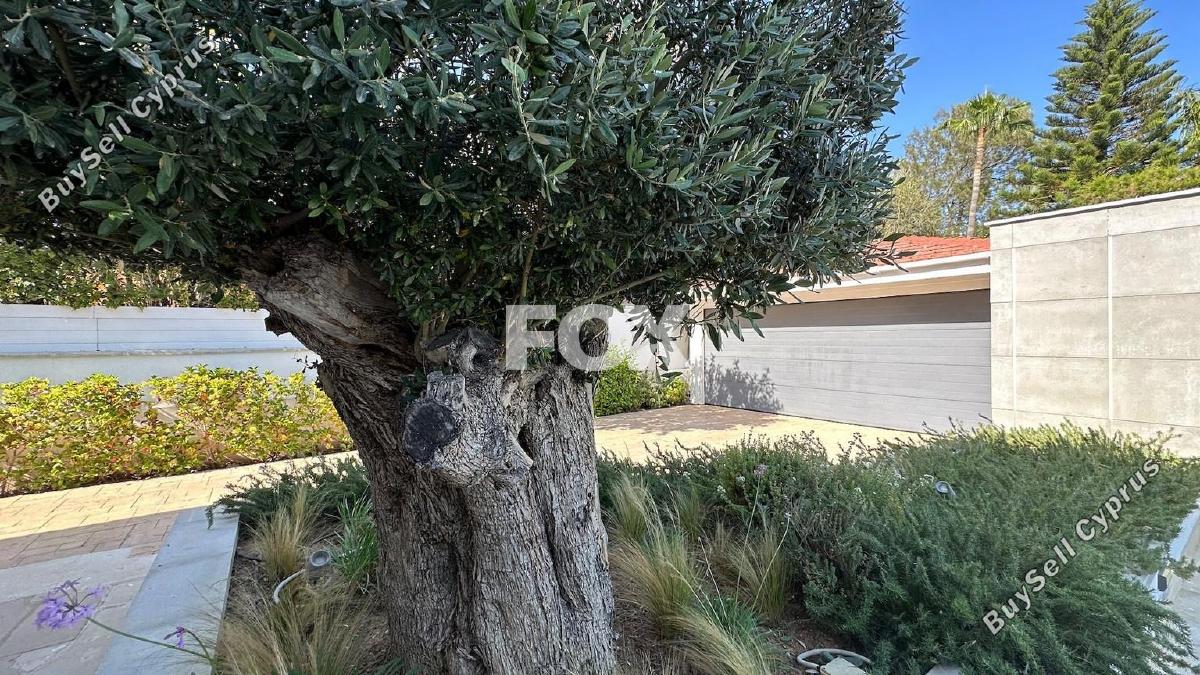 5 bedroom detached house for sale kalogiroi limassol 1465809 image 17883145