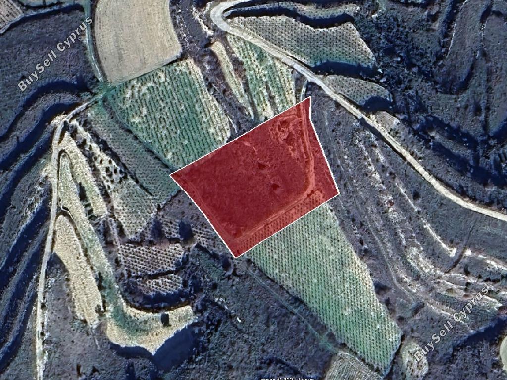 land for sale pachna limassol 1362809 image 16512069