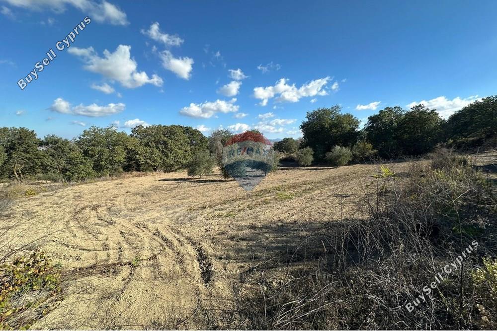 land for sale stroumbi paphos 8350809 image 14435198