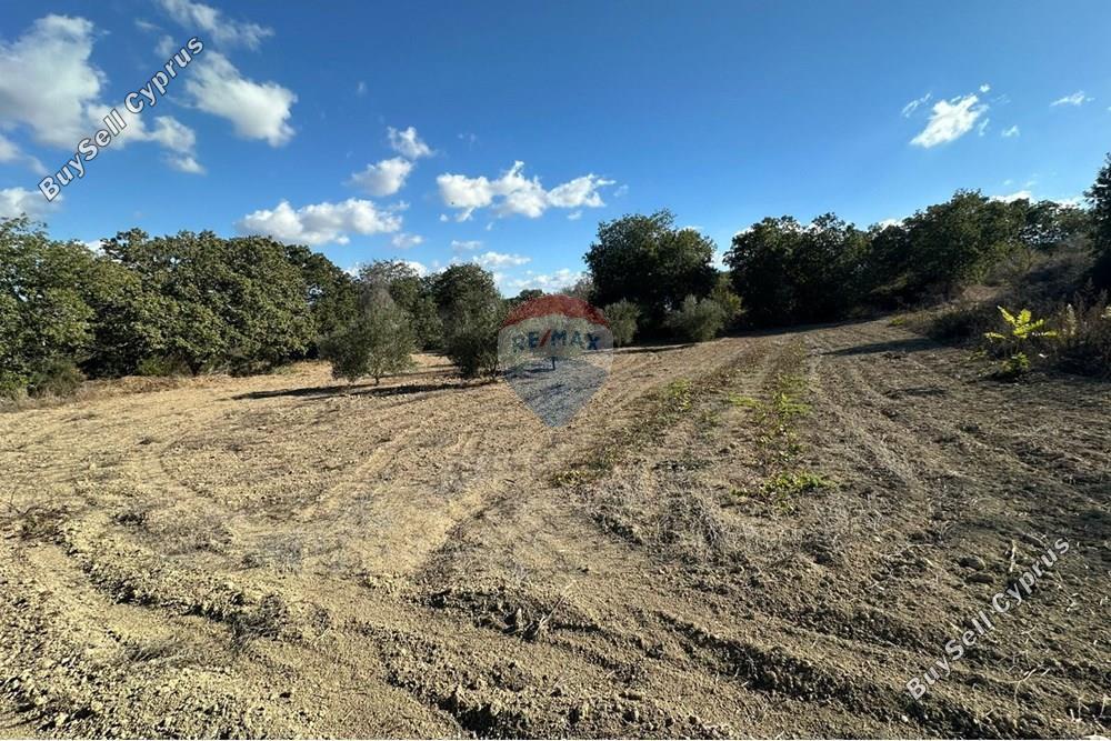 land for sale stroumbi paphos 8350809 image 14435199