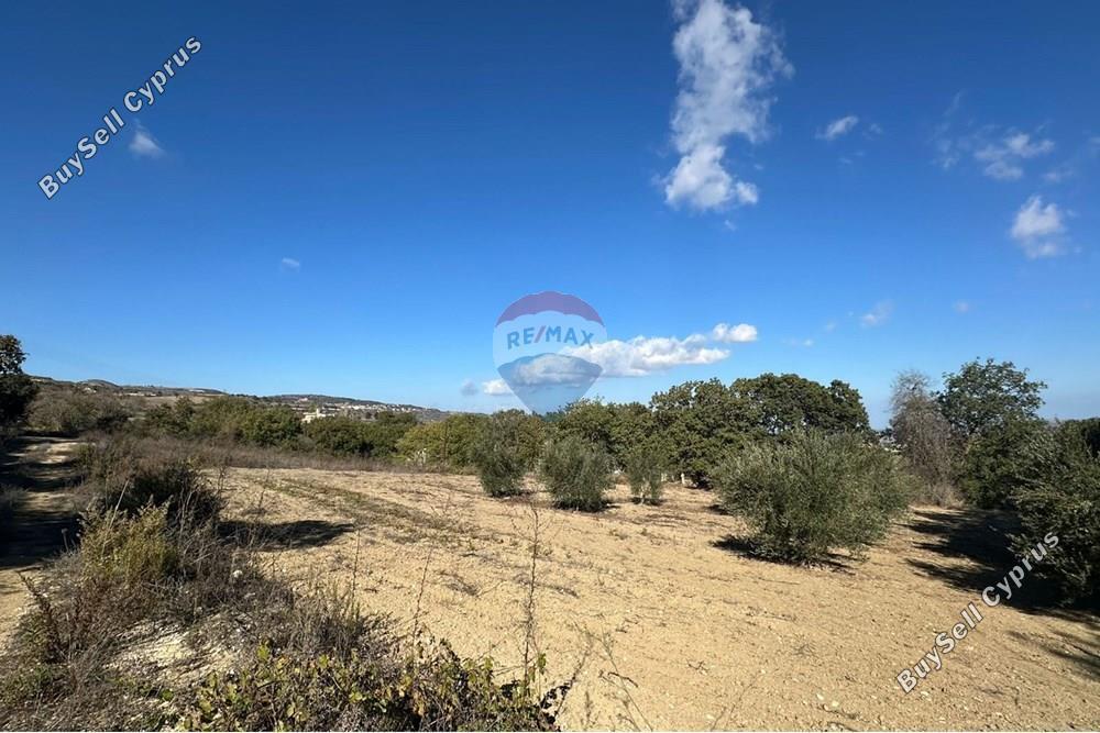 land for sale stroumbi paphos 8350809 image 14435200