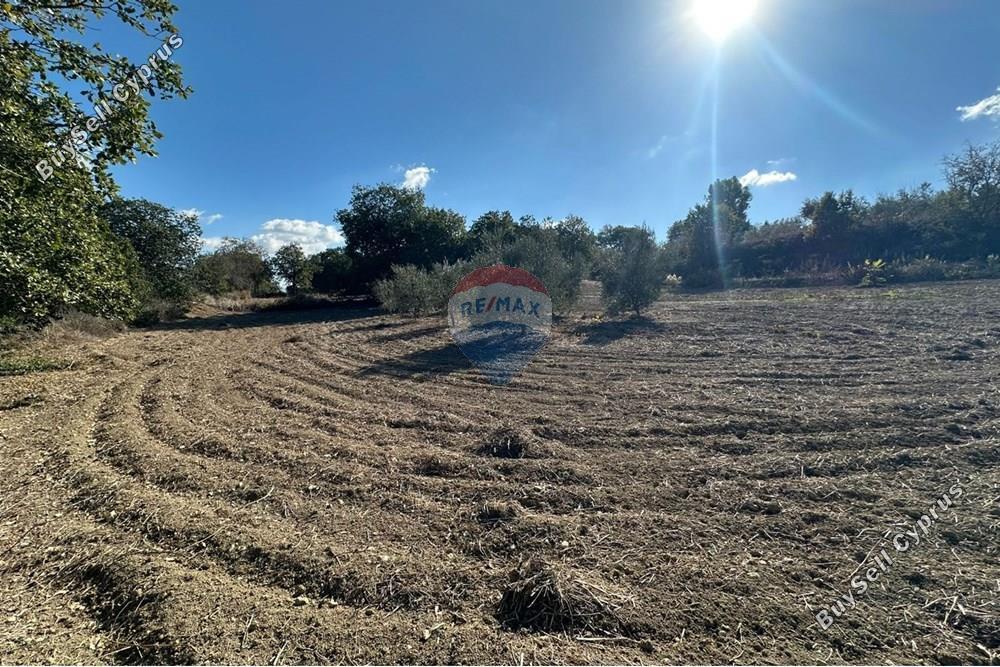 land for sale stroumbi paphos 8350809 image 14435201