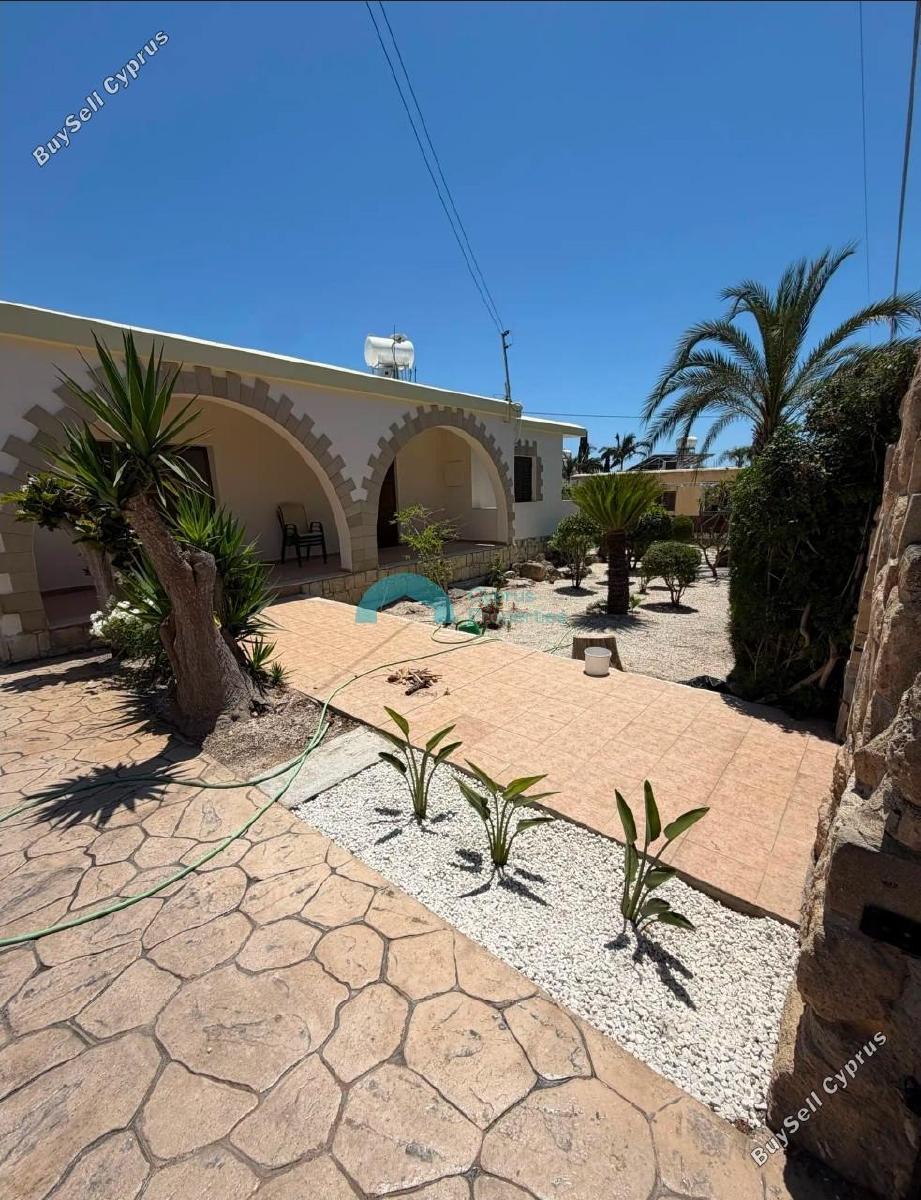 3 bedroom detached house for rent coral bay paphos 8856909 image 17131968