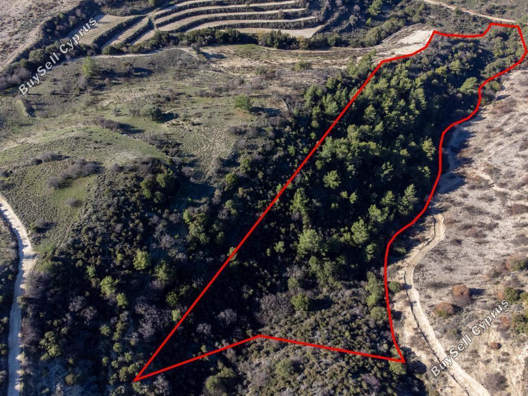 land for sale mousere paphos 839909 image 5481562