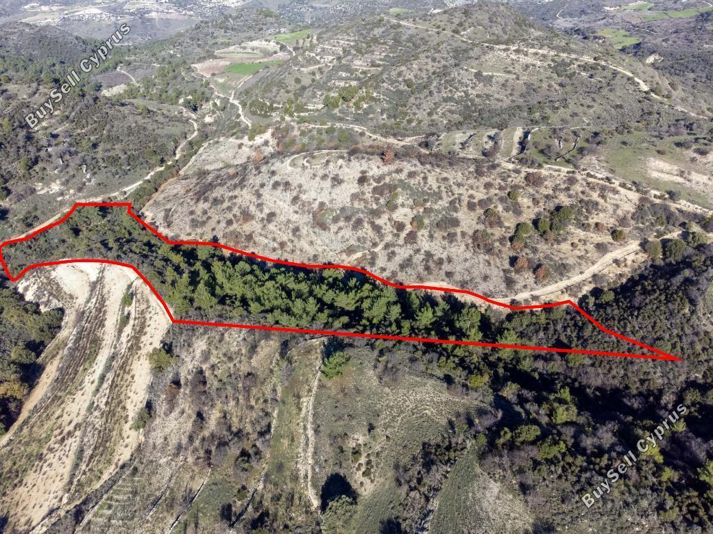 land for sale mousere paphos 839909 image 5481569