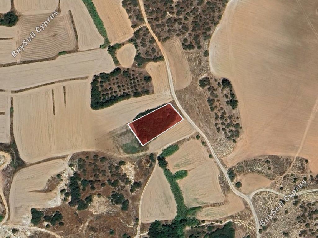 land for sale paralimni famagusta 8804909 image 16803945