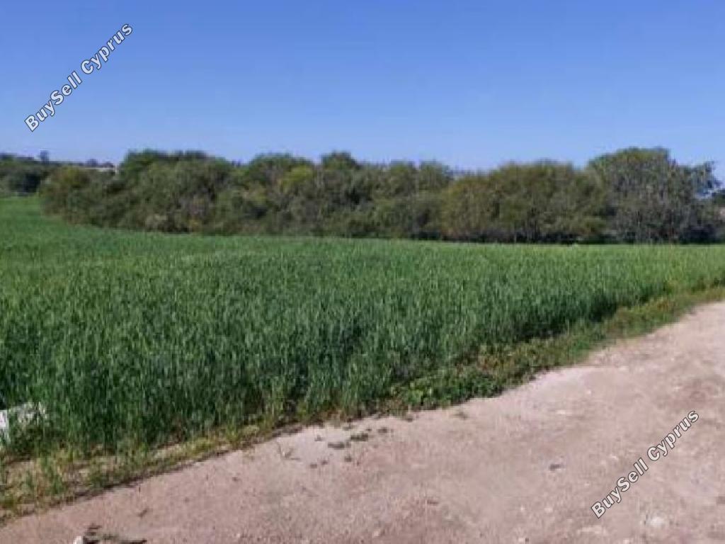 land for sale paralimni famagusta 8804909 image 16803947