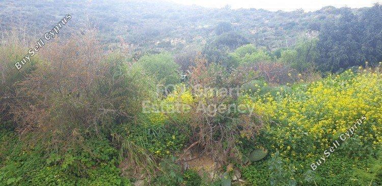 plot for sale kalavasos larnaca 1419909 image 12646899