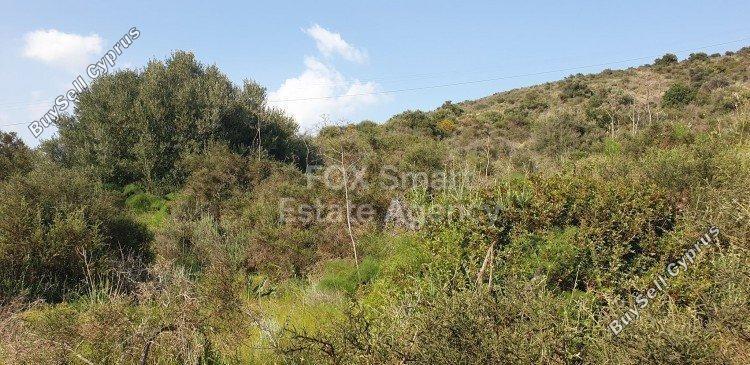 plot for sale kalavasos larnaca 1419909 image 12646906