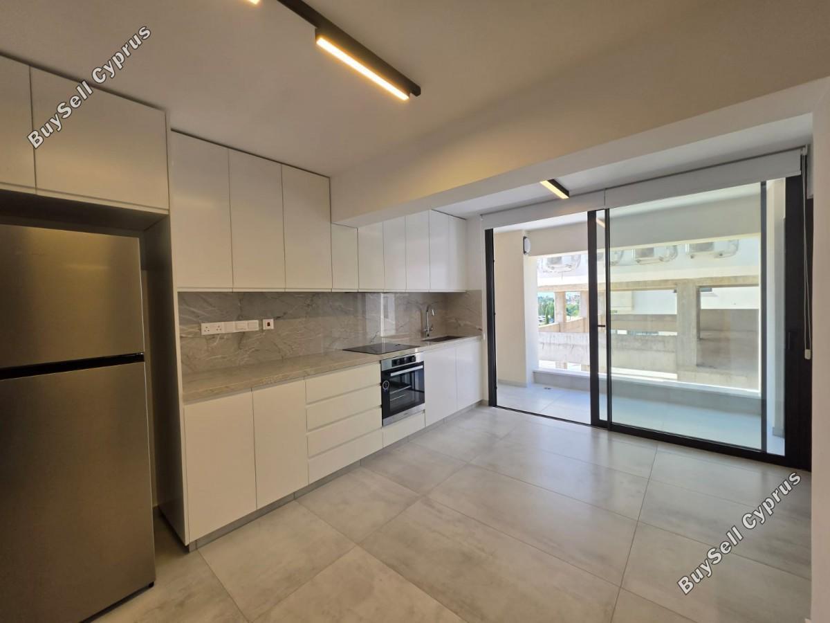 2 bedroom apartment for rent paphos municipality paphos 8780019 image 16637518