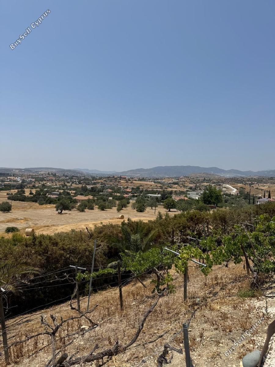 5 bedroom detached house for rent monagroulli limassol 1843019 image 17254993