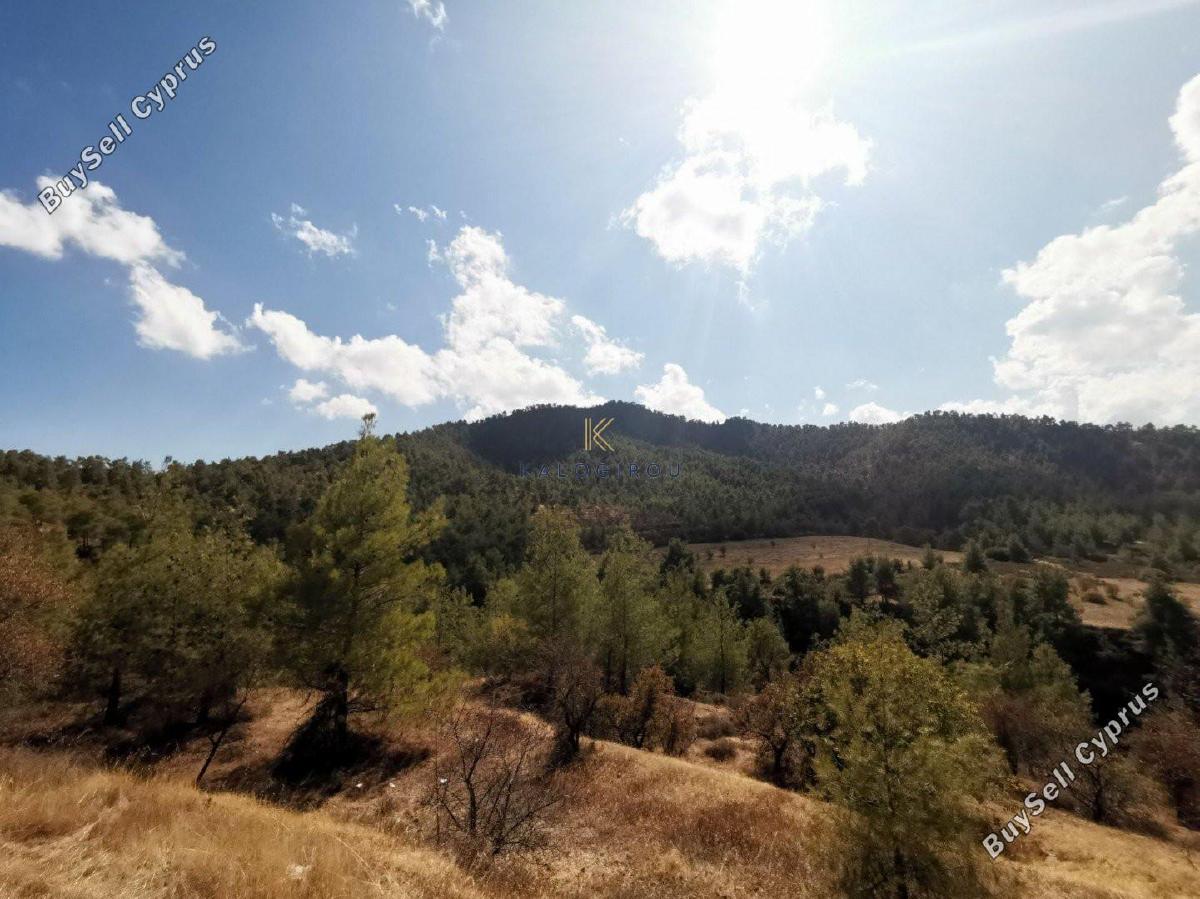 plot for sale agios theodoros larnacas larnaca 1195019 image 5574378