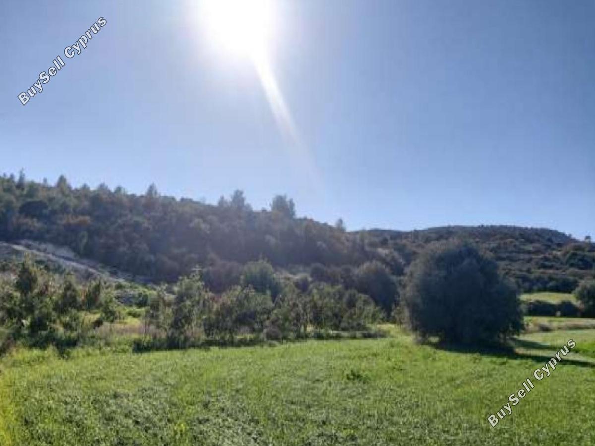 land for sale kalavasos larnaca 8884119 image 17292559