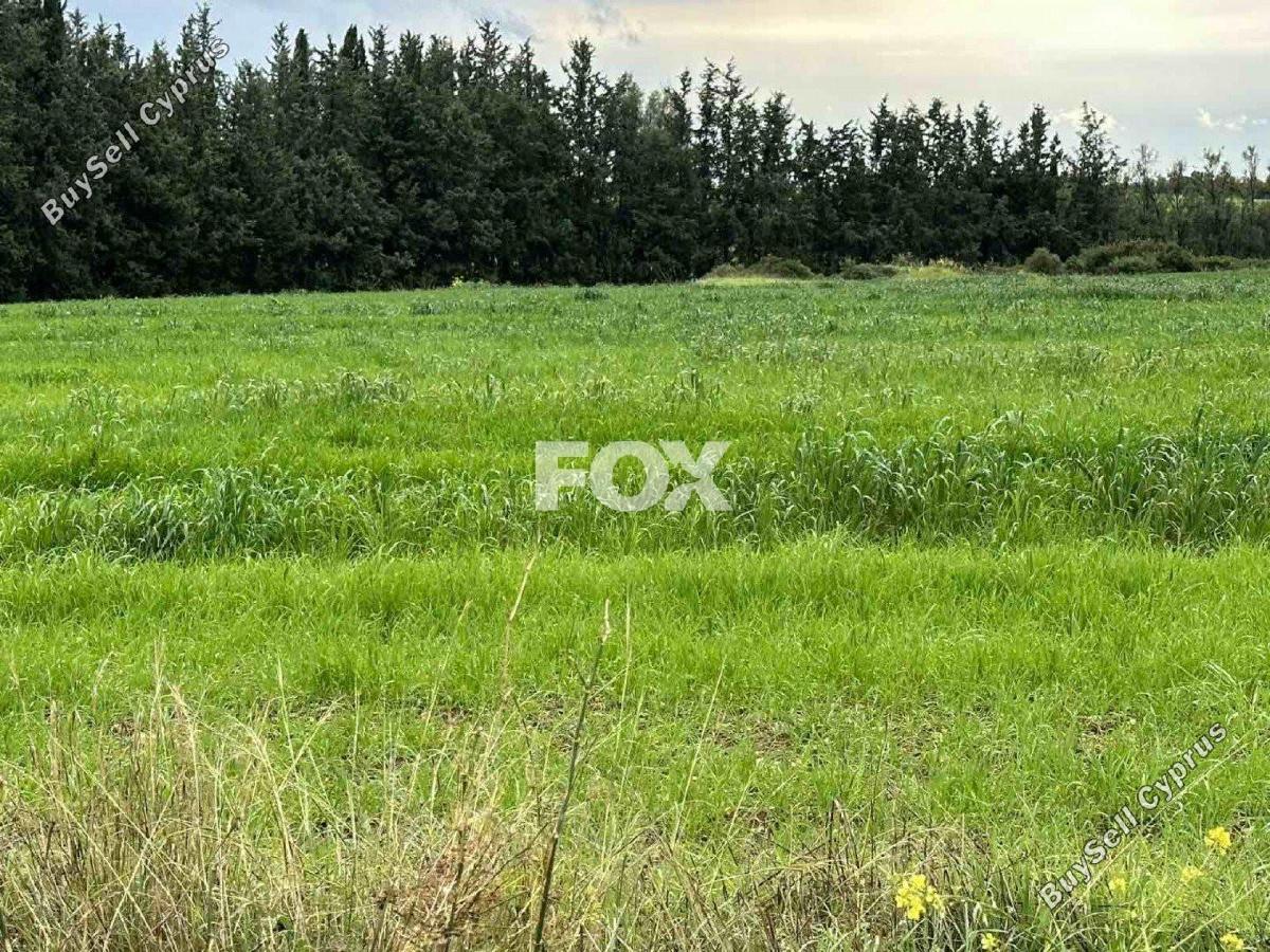 land for sale nikokleia paphos 1270119 image 5547510