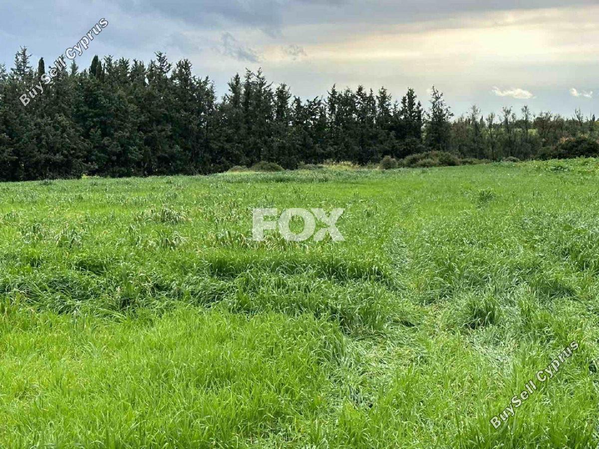 land for sale nikokleia paphos 1270119 image 5547512