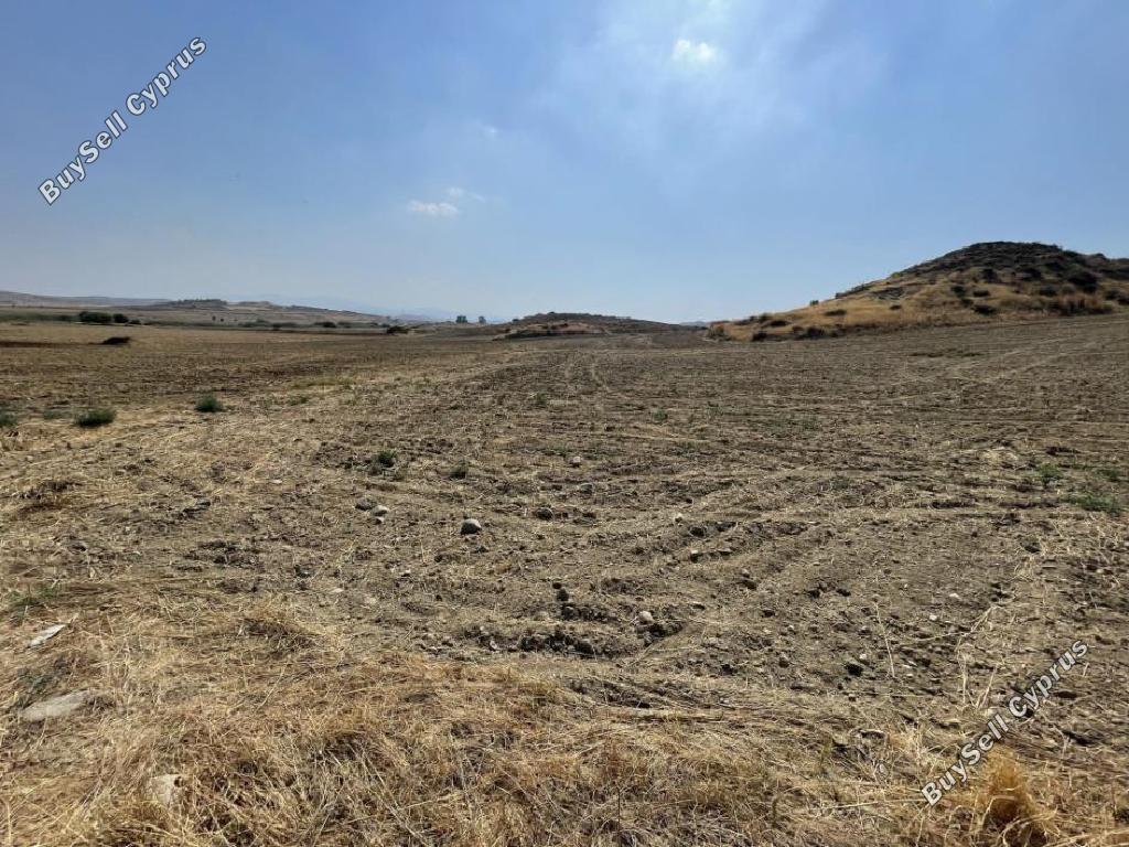 land for sale agia varvara nicosias nicosia 1936219 image 15597412