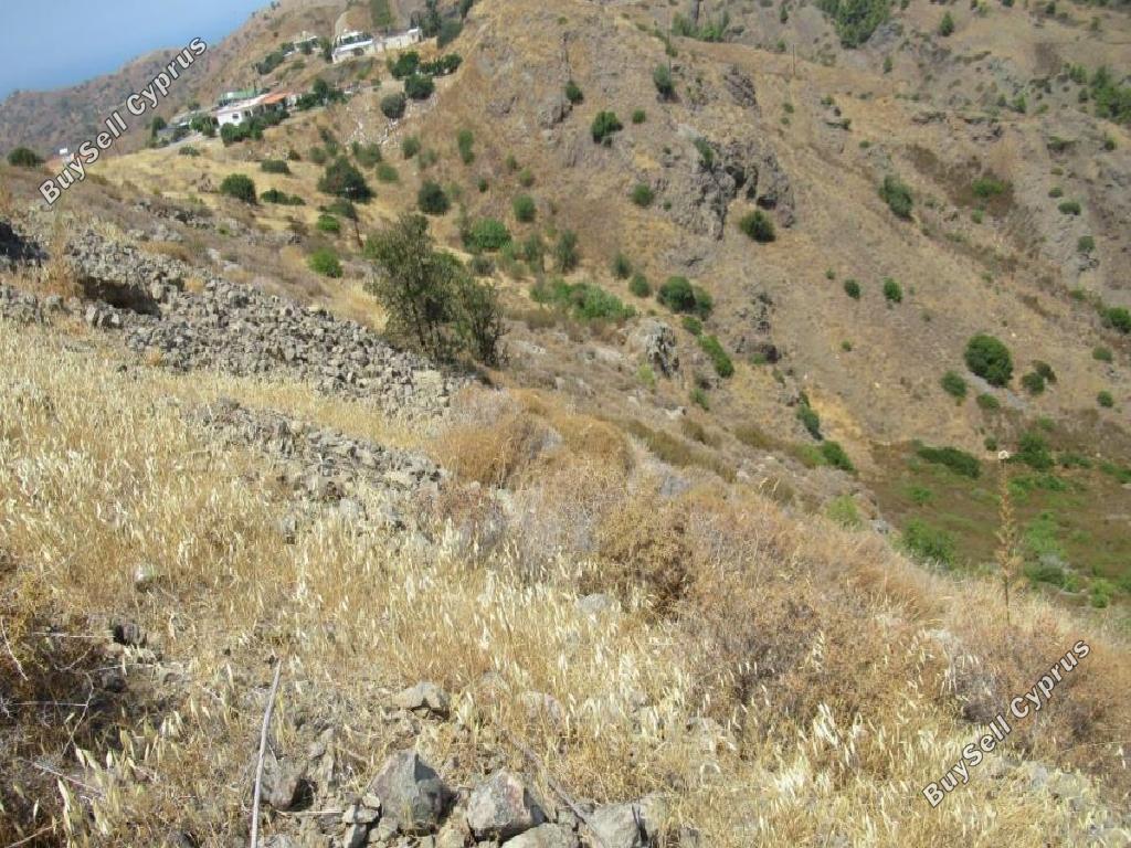 land for sale pigenia nicosia 946219 image 15601077