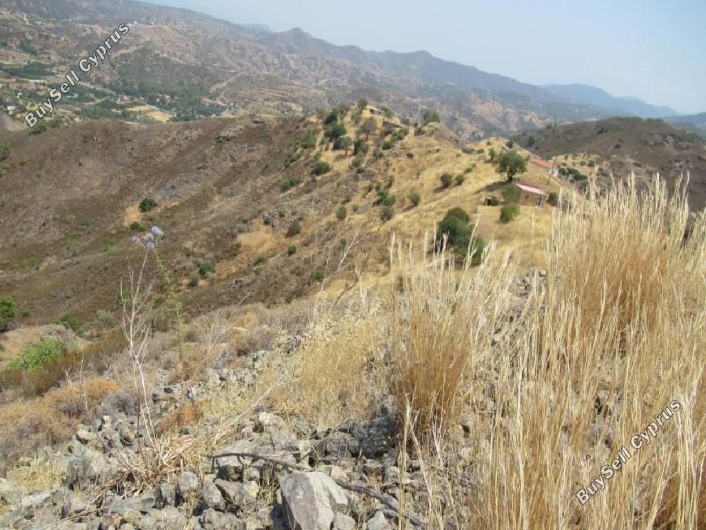 land for sale pigenia nicosia 946219 image 15601078