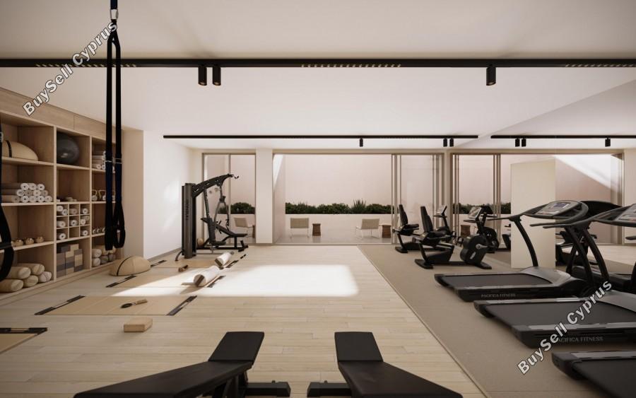 studio apartment for rent emba paphos 8399219 image 16931910