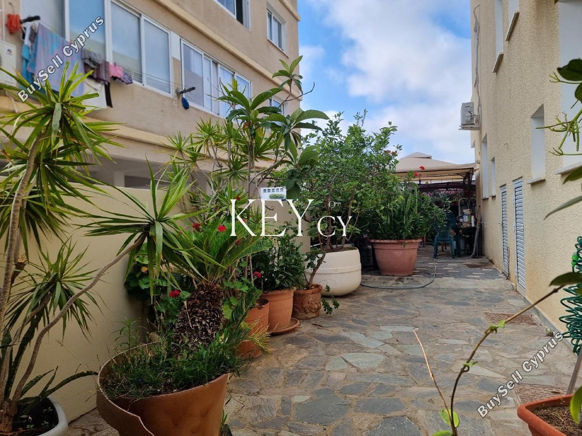 2 bedroom semi detached house for rent paphos municipality paphos 8890319 image 17318624