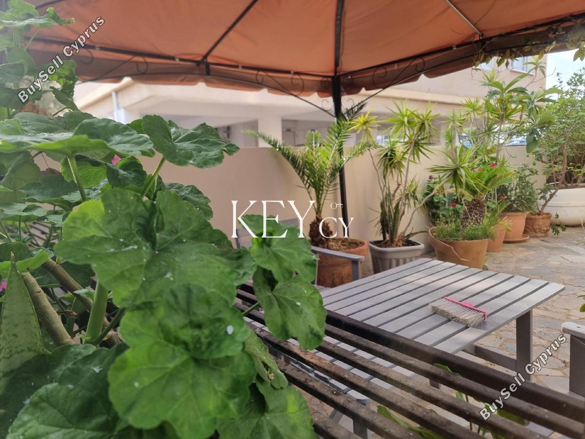 2 bedroom semi detached house for rent paphos municipality paphos 8890319 image 17318626