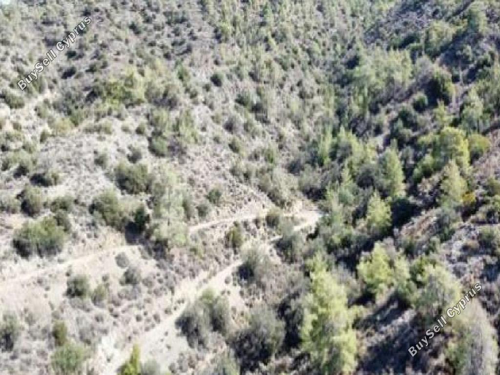 land for sale arakapas limassol 1907319 image 16009793