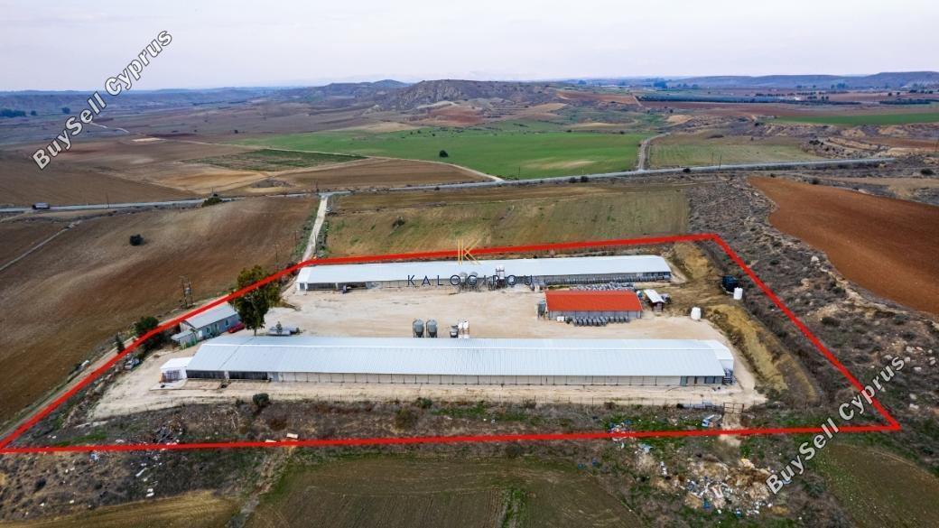 plot for sale agios ioannis nicosias nicosia 1651319 image 5705689
