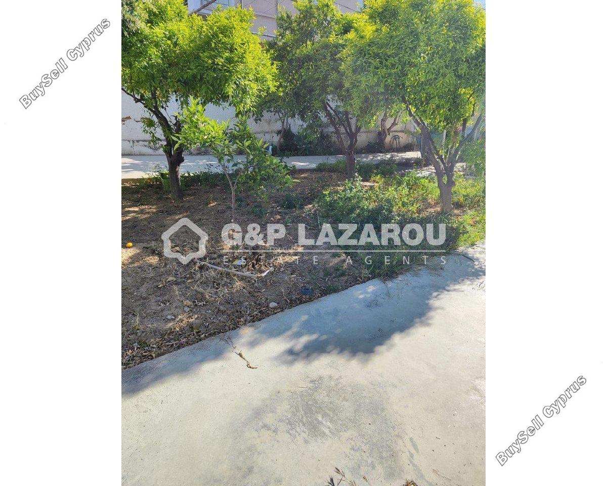 studio commercial development for rent agios dometios nicosia 1770319 image 5543811