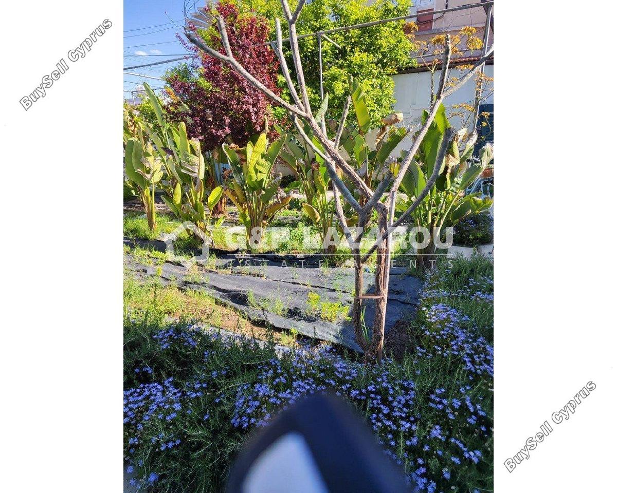 studio commercial development for rent agios dometios nicosia 1770319 image 5543812