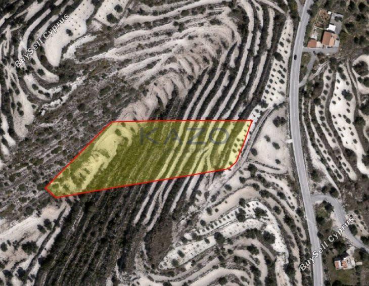 land for sale apesia limassol 1735419 image 10595817
