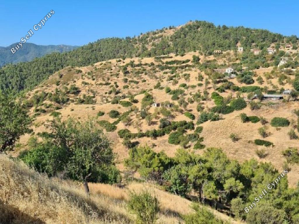 land for sale pigenia nicosia 946419 image 6815697