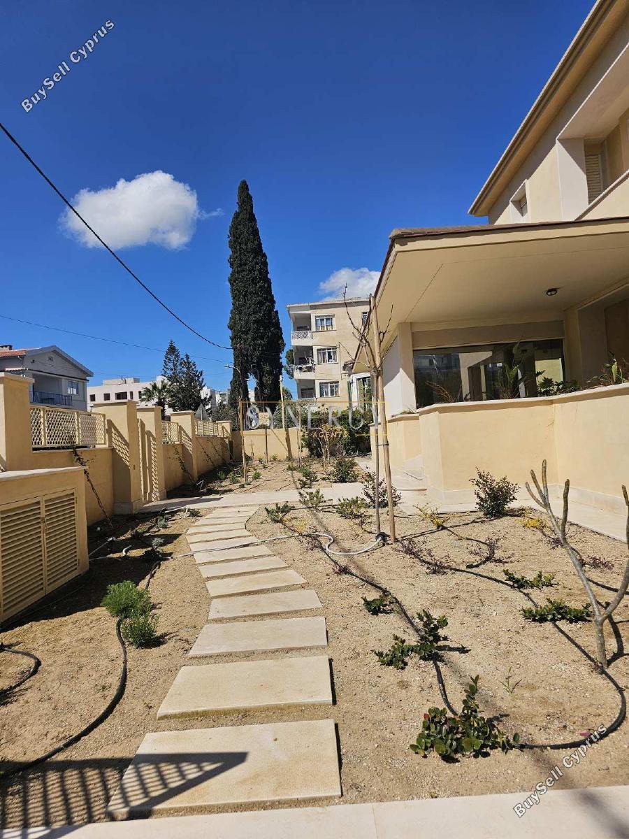 3 bedroom detached house for rent agios andreas nicosia nicosia 8560519 image 17524366