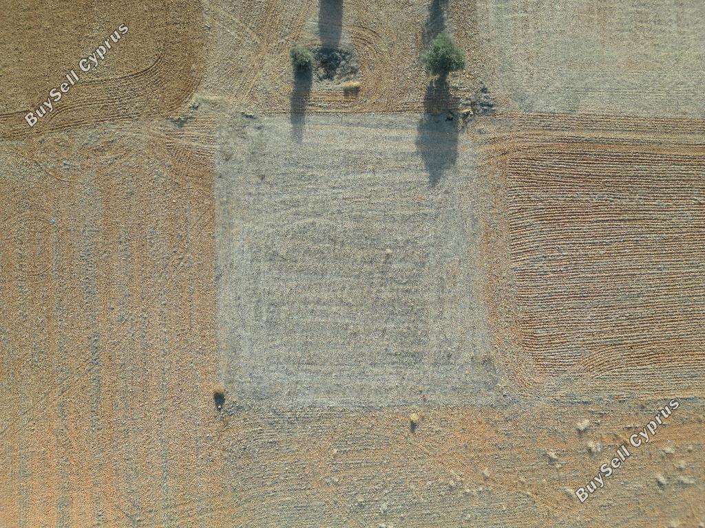 land for sale palaiometocho nicosia 944519 image 15601668