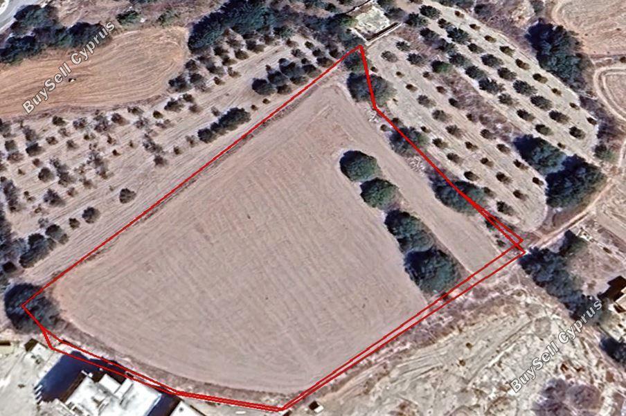 plot for sale geroskipou paphos 1677519 image 4339857