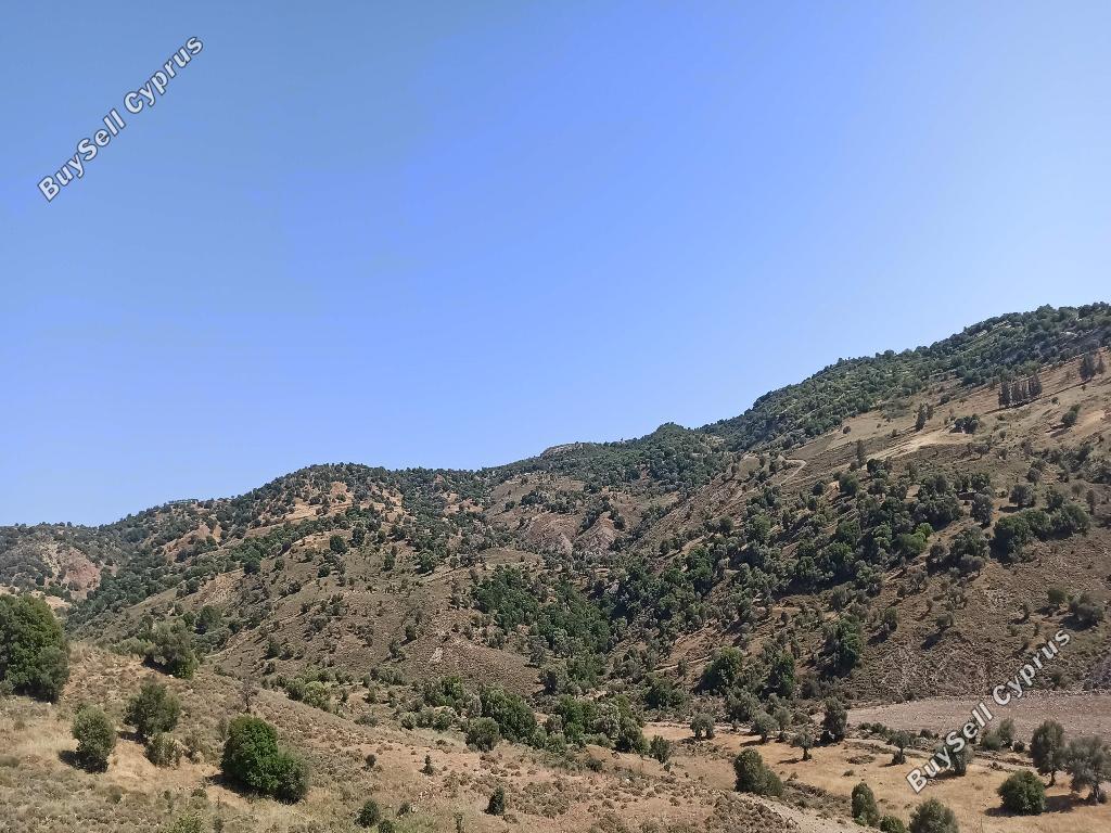 8362 SQM Land for sale in Choulou, Paphos 15597998