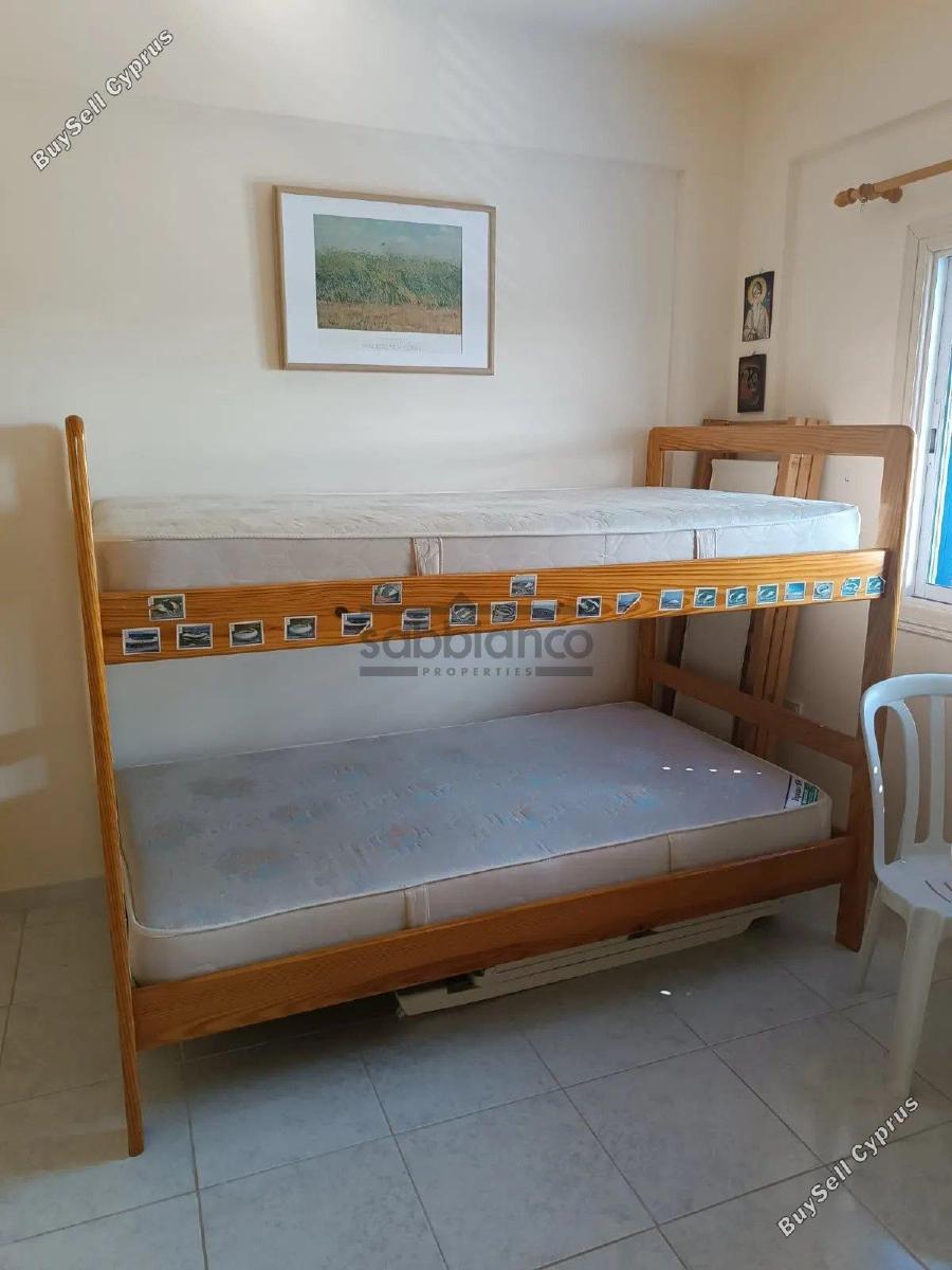 2 bedroom detached house for rent armou paphos 8745619 image 16434129