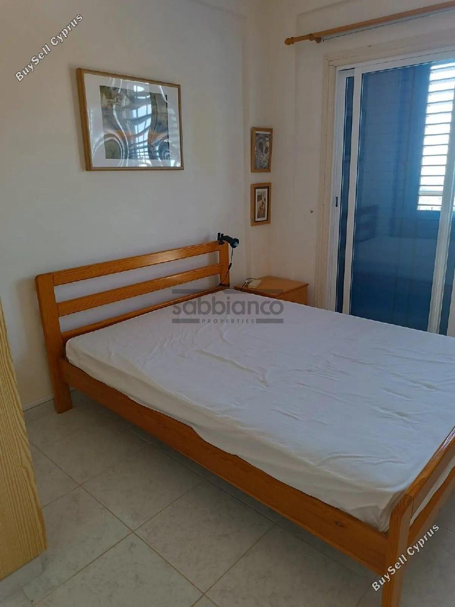 2 bedroom detached house for rent armou paphos 8745619 image 16434132