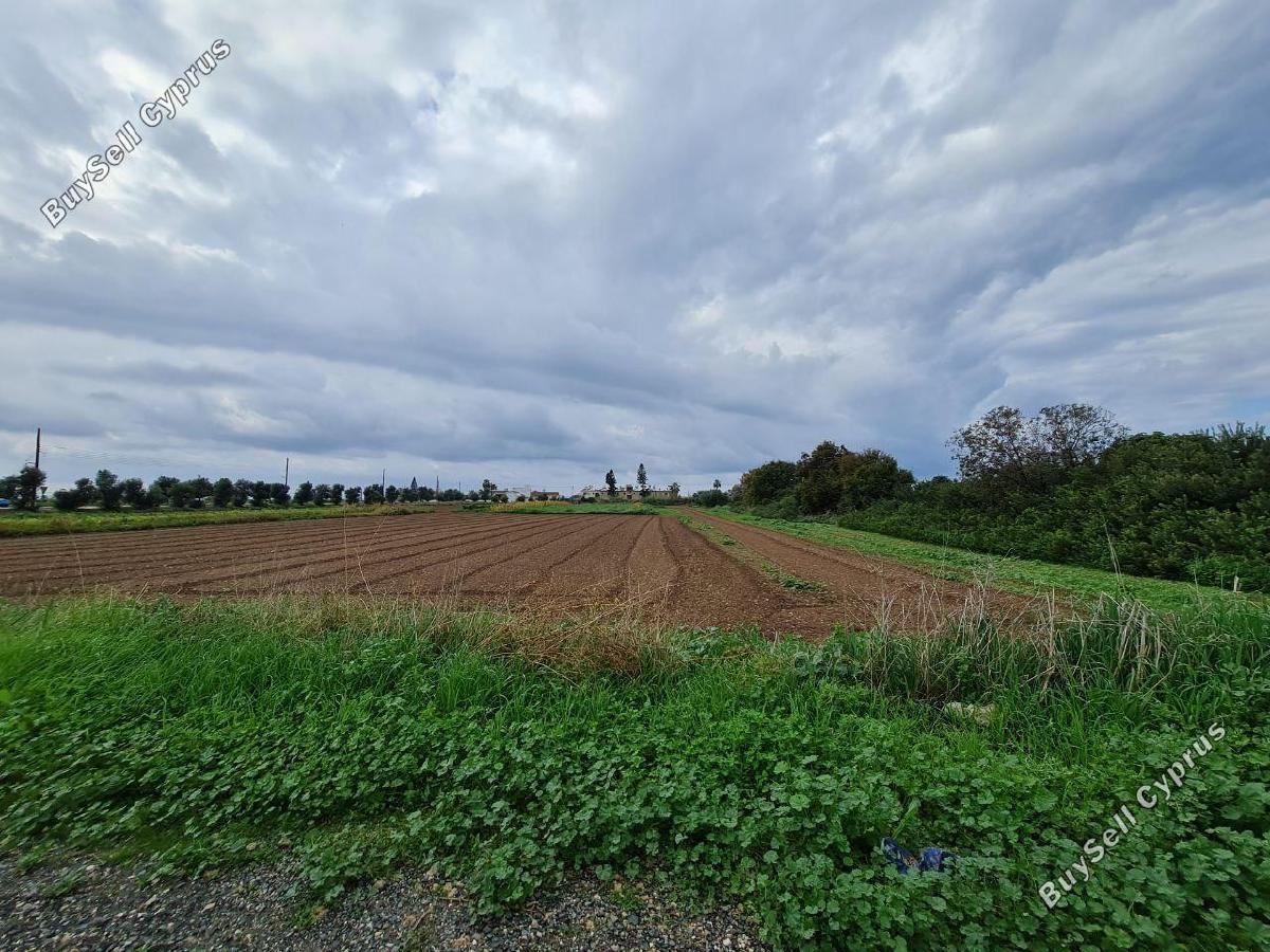land for sale chlorakas paphos 1451619 image 4943933