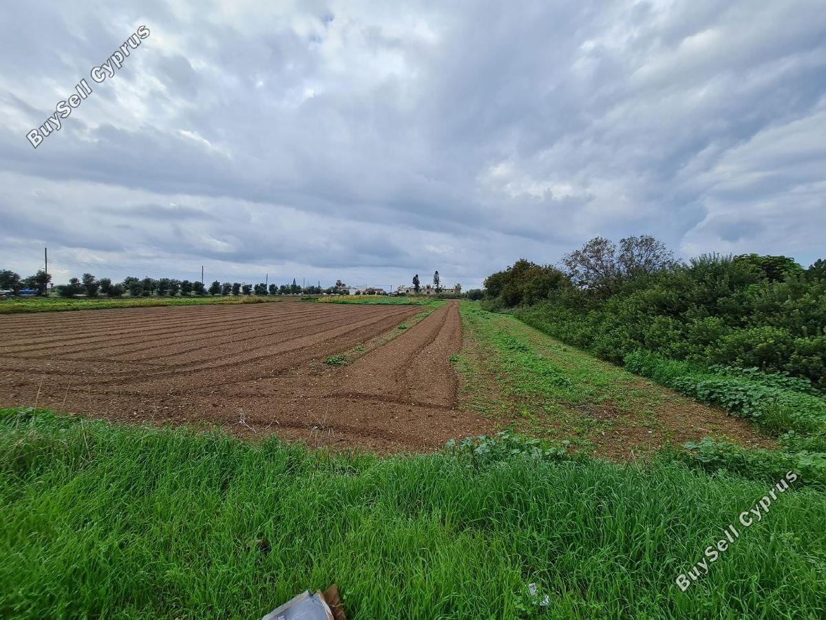 land for sale chlorakas paphos 1451619 image 4943936