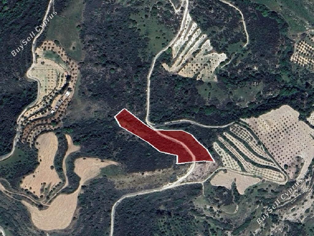 land for sale choulou paphos 1526619 image 15597997