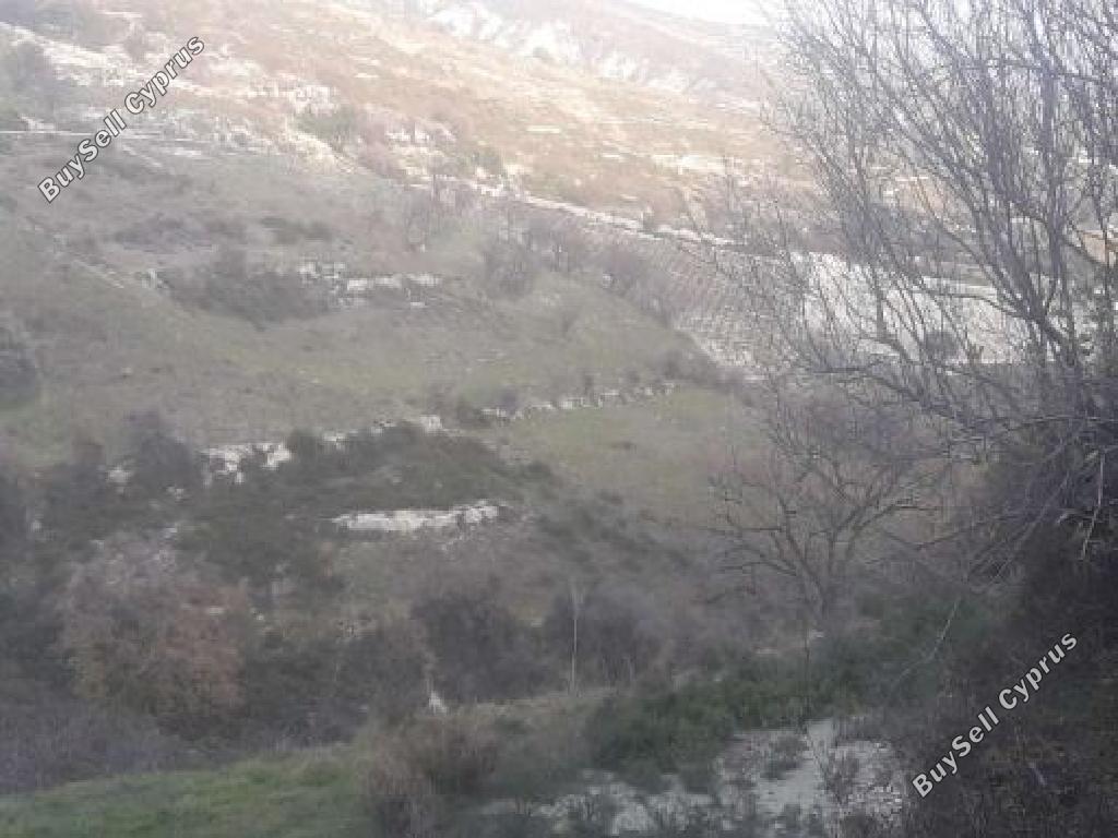 land for sale koilani limassol 826619 image 16009894