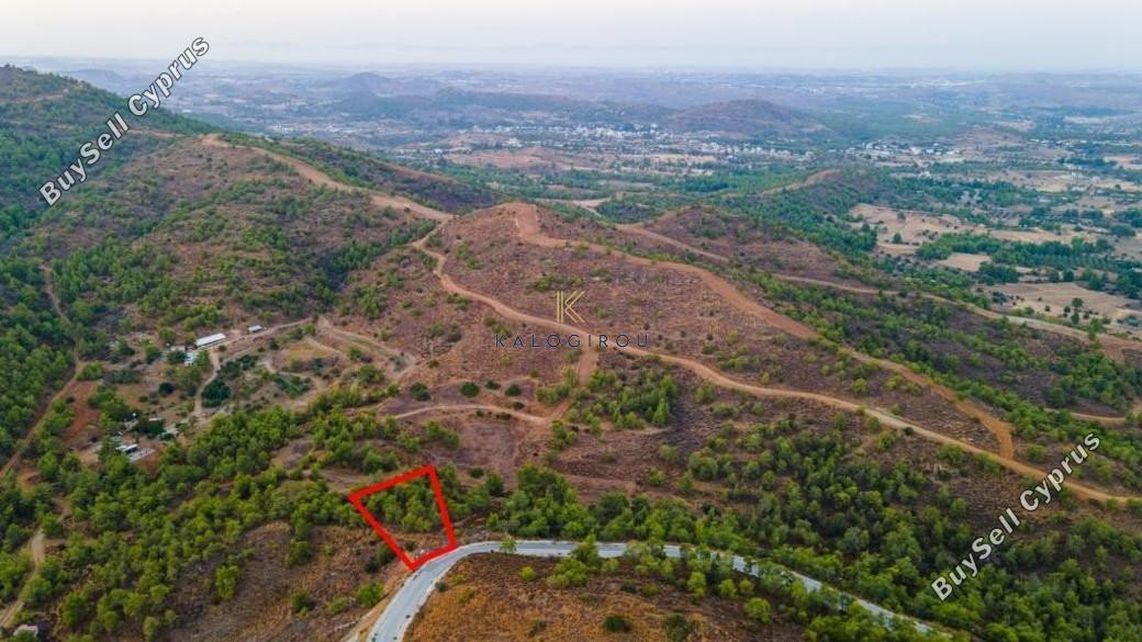 land for sale kornos larnaca 1194619 image 5568416