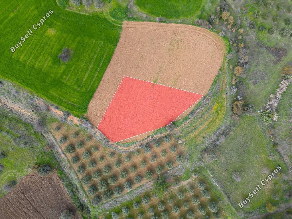 land for sale mitsero nicosia 1145619 image 15602352